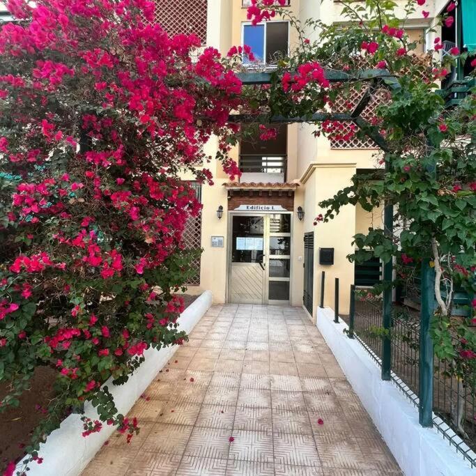 Apartman Los Cristianos-Cristimar Los Cristianos  Esterno foto